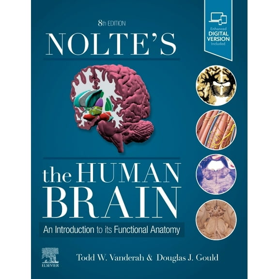 Nolte's the Human Brain: An Introduction to Its Functional Anatomy, (Paperback)