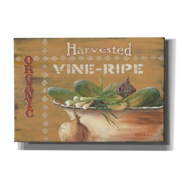 Epic Graffiti 'Vine Ripe' by Pam Britton, Canvas Wall Art, 26"x18"