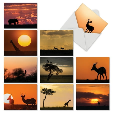 M6551OCB SAFARI SUNSETS' 10 Assorted All Occasions Greeting Cards Featuring Silhouettes of African Animals Set Against the Setting Sun with Envelopes by The Best Card