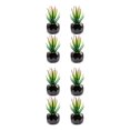 thumbnail image 4 of Cateissary 4 piezas de bonsái de bajo mantenimiento, plantas suculentas artificiales fáciles de limpiar y duraderas áloe de barbados 2Conjunto, 4 of 6