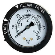 BLUE WAVE PRODUCTS NEP4022 Rear Mount Dial Pressure Gauge