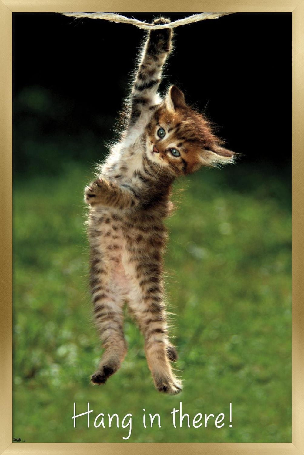 Famous Kitten Hang In There Poster Wall Poster, 22.375" x 34"