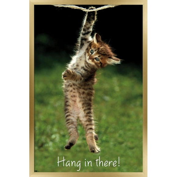Famous Kitten Hang In There Poster Wall Poster, 22.375" x 34"