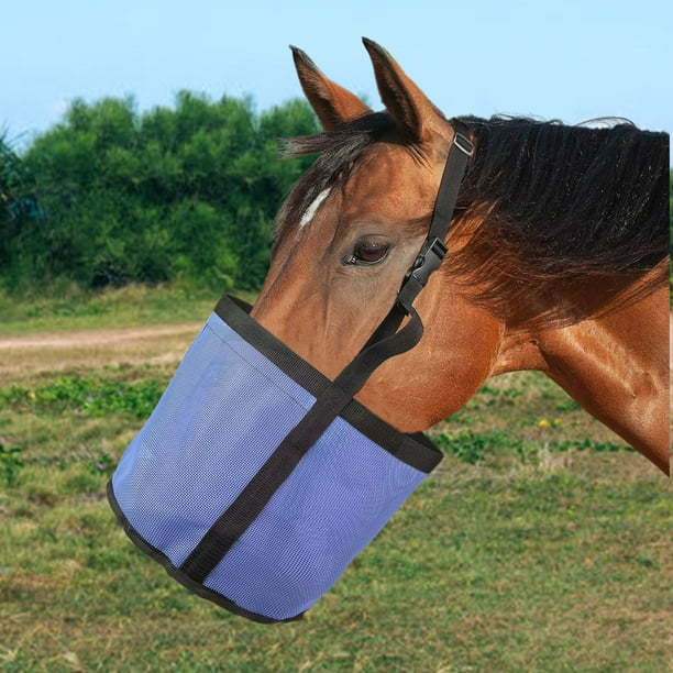 Bolsa de alimentación para caballos, bolsa de PVC de resistencia, alimentador de duradero, suministros para caballos de alimentació Colco bolsita de pienso para caballos