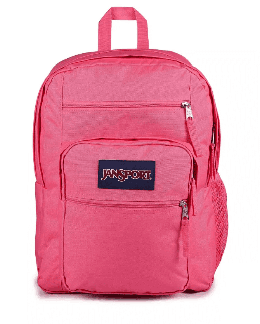 JanSport Cool Student Backpack, Platinum Puddles, 17.5