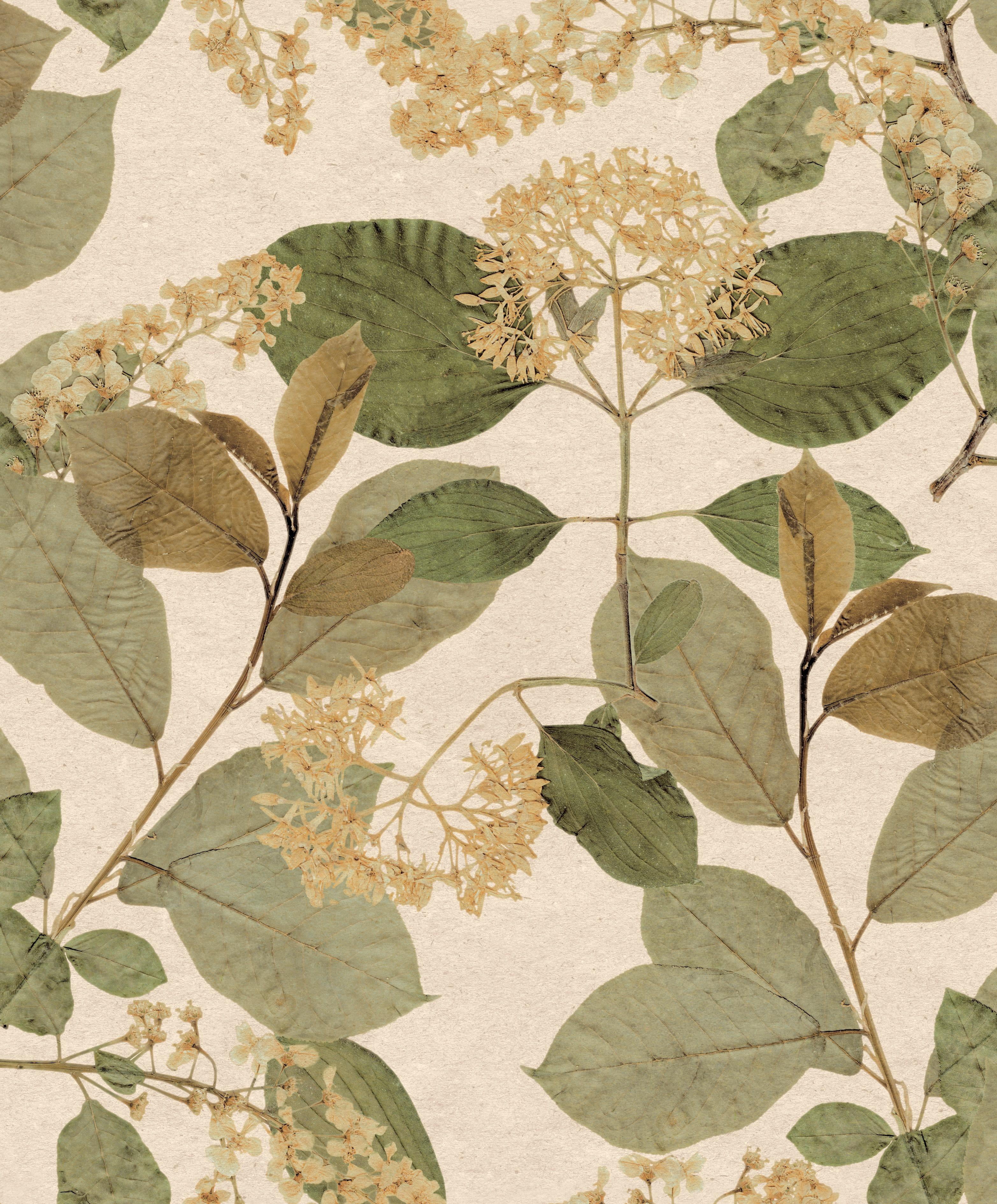 Cream Green Tropical Leaf Print Double Roll Non-Woven Non-Pasted Textured Wallpaper 57 Sq. Ft.