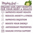 thumbnail image 6 of Mighty Leaf Organic Earl Grey Tea, 100 Pouches, Compostable Tea Bags, Black Tea, 6 of 10