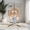 Natural Wood, variant on All-Weather Rattan Hanging Egg Chair with Stand & Cushions - Indoor/Outdoor Swing Chair for Patio Balcony Garden - Grey