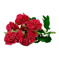 Farfi Artificial Flower Nice-looking Eye-catching Vibrant Carnation Bouquet Silk Flowers with Stems Leaves for Wife (Red)
