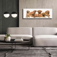 thumbnail image 5 of Epic Graffiti 'Rhodisian Ridgeback Puppies' by Barbara Keith, Canvas Wall Art, 60"x20", 5 of 8