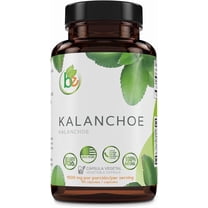 Kalanchoe Pinnata Forte(Leaf of Life) 90 Capsules (1500 mg per Serving)Bryophyllum Pinnatum – 100% Natural,Vegan,Non-GMO, Herbal Dietary Supplement for Antioxidant & Wellness Support – by BexpertsUSA