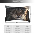 thumbnail image 2 of Honeii Pilot Cat In Vintage Plane Print Pillow Cases,Plush Throw Pillow Covers,Decorative Pillowcase for Sofa, Couch, Living Room-14"x20", 2 of 6