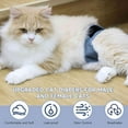thumbnail image 2 of Paw Legend Cat Diapers for Male Cats Spraying Washable Reusable Kitten Diapers for Cats Incontinence Pet Diapers (3 Pack, Small), 2 of 7