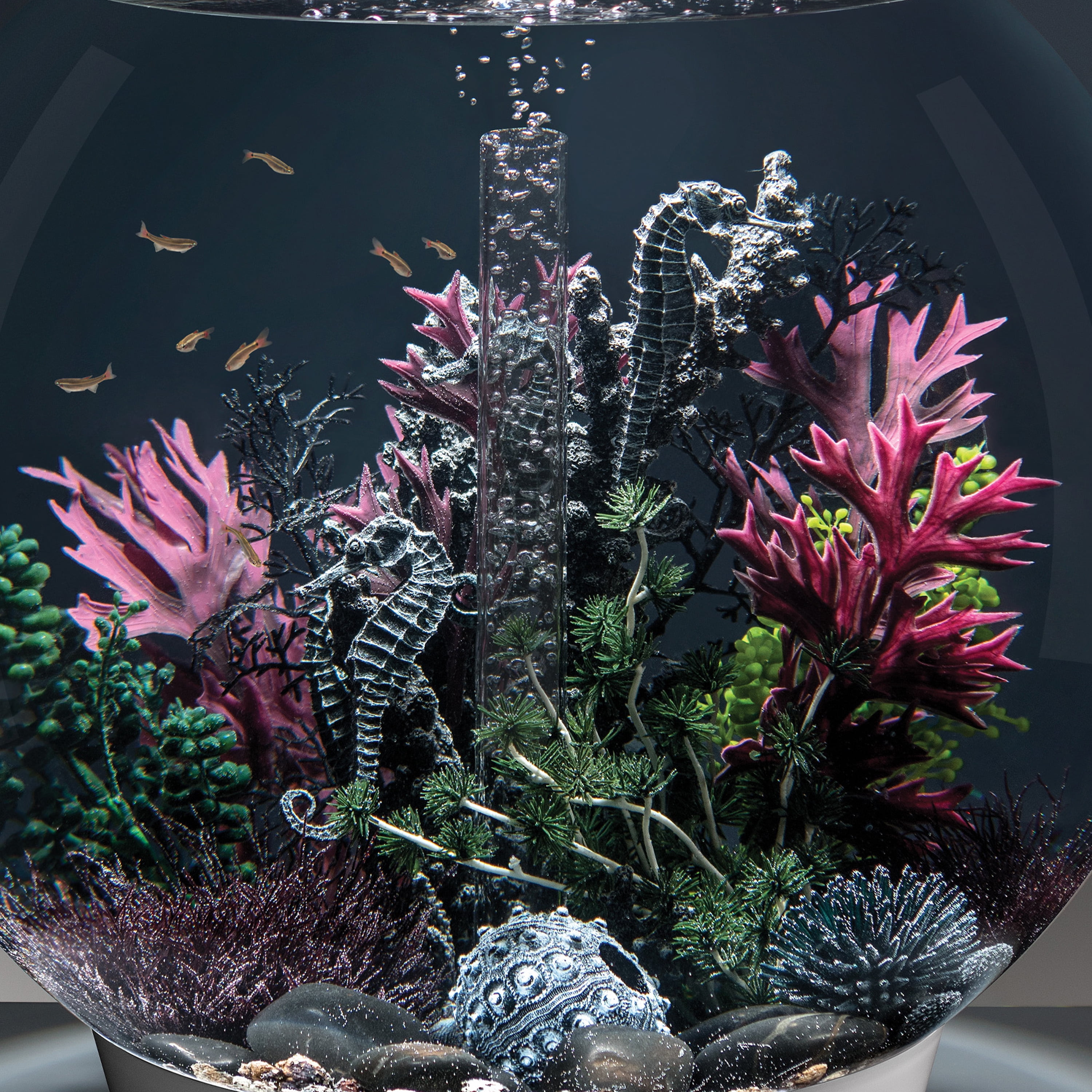biOrb Medium Black Seahorse Sculpture - Aquarium Decor