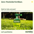 thumbnail image 3 of Sunday Texas Green Ready-to-Spray Lawn Fertilizer, 42.3 oz, (22-0-2), 5000-Sq ft, 3 of 7