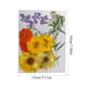 thumbnail image 3 of Advancent Artesanía de flores secas naturales Flores prensadas Ramos en relieve Decoración para tarjetas de boda Pintura de álbum de recortes Flores artificiales  Digitare 5 Advancent HA010760-05, 3 of 6