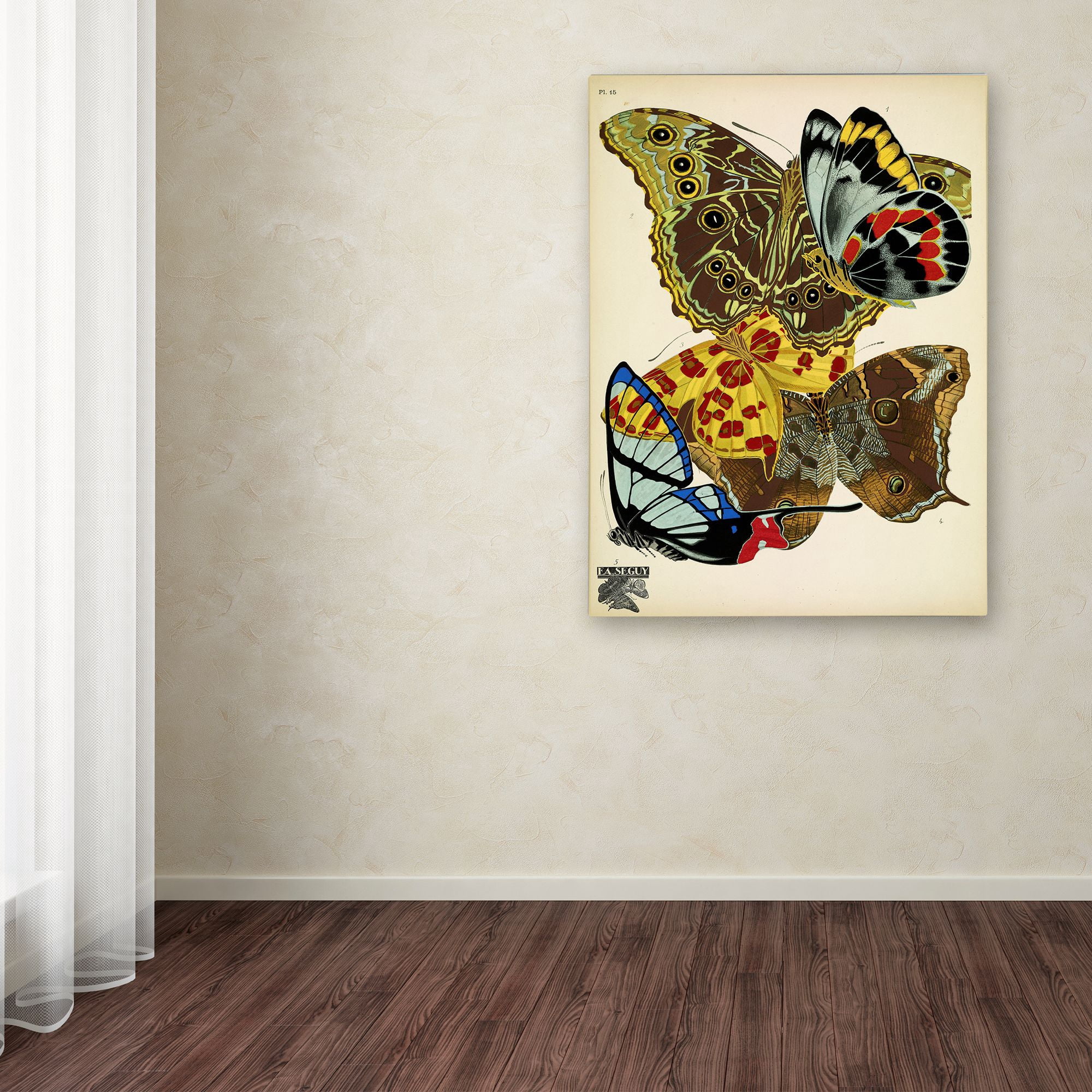Trademark Fine Art 'Papillons 15' Canvas Art by Vintage Apple Collection