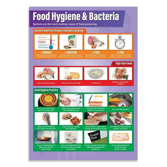 Food Hygiene & Bacteria Classroom Poster
