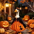 thumbnail image 7 of 2 Pcs Halloween Witch Themed Dress and Hat Set for 19 to 23 Inch Porch Goose Statue Fall Yard Decor with Black Cat and Pumpkin Motifs, 13.78 Inch, Clear, 7 of 7