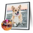 thumbnail image 1 of Cuadros Decorativos Kit de póster de perro 5D hecho a mano con taladro redondo completo DIY (yn037) Wdftyju embutido en tela, 1 of 9