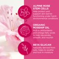 thumbnail image 4 of Mascarilla de labios Andalou Naturals 1000 ROSES Overnight 12 ml vegana, 4 of 5