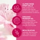 thumbnail image 4 of Mascarilla de labios Andalou Naturals 1000 ROSES Overnight 12 ml vegana, 4 of 5