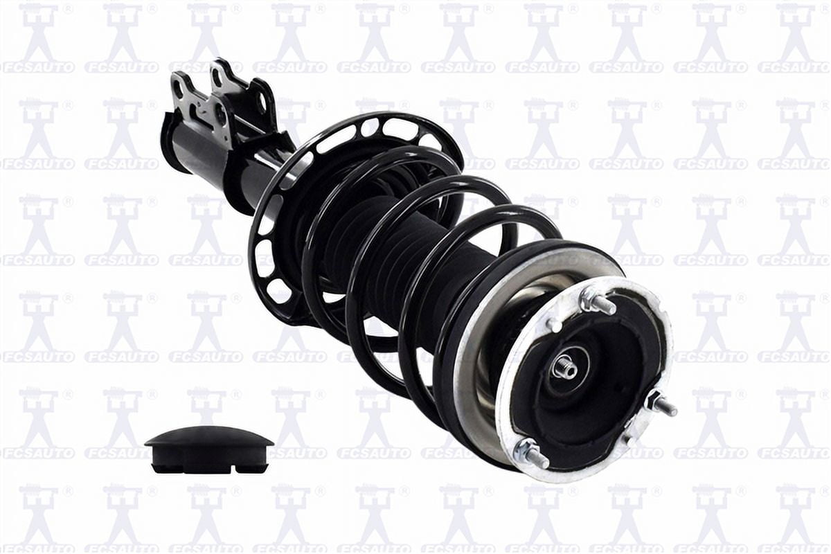 Suspension Strut and Coil Spring Assembly