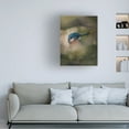thumbnail image 2 of Trademark Fine Art Andrea Haase Renmyr A Hidden Gem Canvas Wall Art, 2 of 4