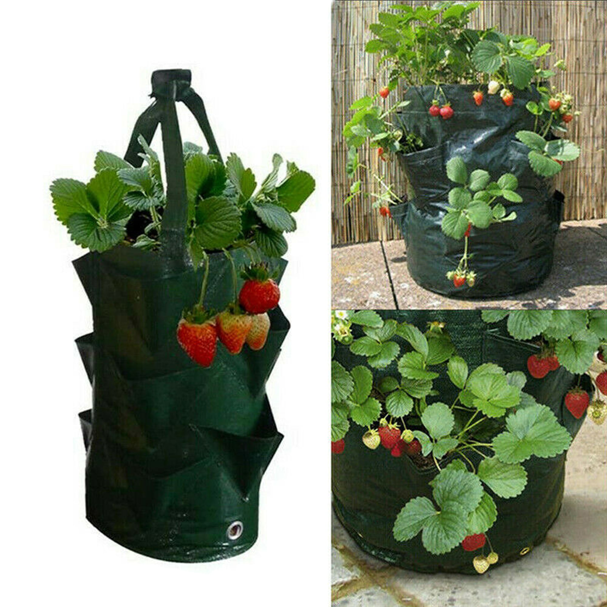 Hanging Flowerpot Vertical Planting Strawberry Grow Bags PE Seedling Pouch 