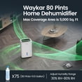 thumbnail image 2 of Deshumidificador Waykar Energy Star de 80 pintas para 500 m² con manguera de desagüe, 2 of 9