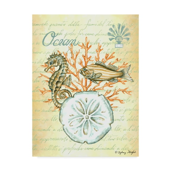 Trademark Fine Art 'Under The Sea Nautical II' Canvas Art by Sydney Wright