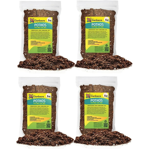 ⭐ Premium Pothos Potting Soil Mix Air Cleaning Plant Potting Mix