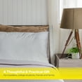 thumbnail image 4 of Spasilk 100% Pure Silk Facial Beauty Pillowcases, 4 of 7