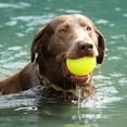 thumbnail image 4 of Ruff Dawg Indestructible Ball Dog Toy Extra Large Assorted 3.5" x 3.5" x 3.5", 4 of 4