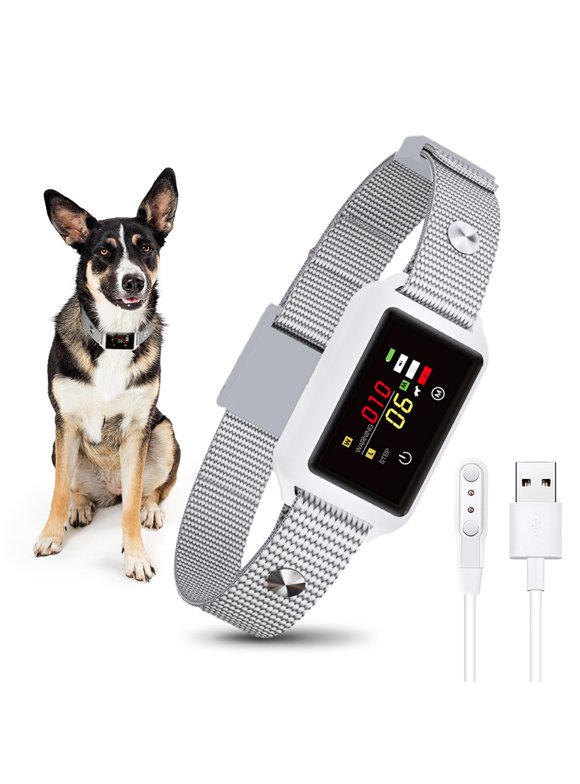 Dog Bark Collars in Dog Training & Obedience