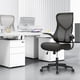 thumbnail image 3 of Yeshouse silla de oficina ergonómica de malla, respaldo alto con soporte lumbar, reposabrazos abatibles, cojín de 10 cm, inclinación 90°-120°, ideal para oficina y escritorio, 3 of 5