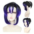 thumbnail image 1 of RYRDWP Noir 30cm Dégradé Bleu Cos Perruque Rose Mesh avec Cheveux, 1 of 9