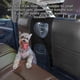 thumbnail image 5 of Coche mascota barrera conducción aislamiento protector mascota barrera malla pequeño animal asiento trasero seguridad espacio viaje conducción vehículo protector negro Awesitey&nbsp; VI001591-01, 5 of 6