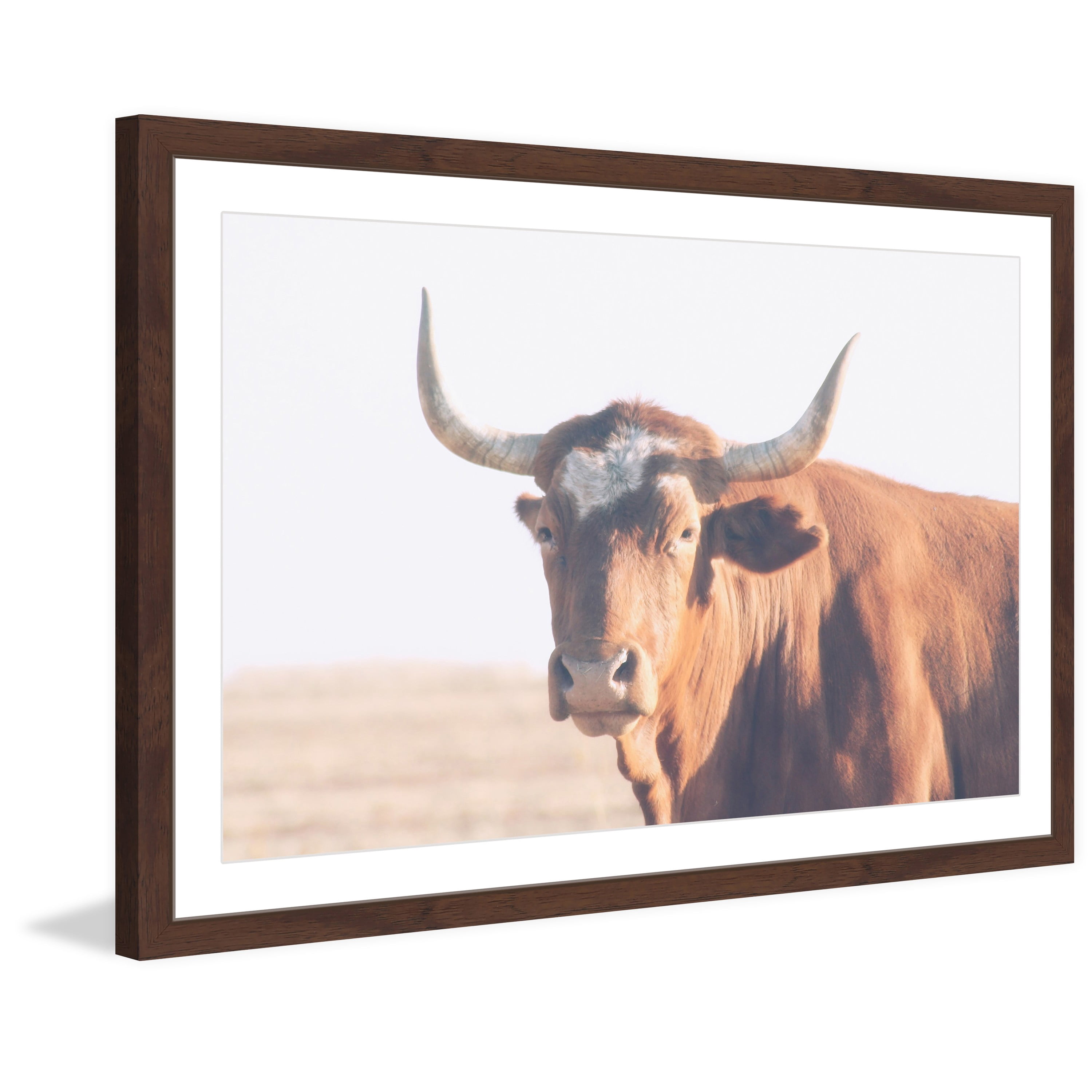 Marmont Hill "Curious Bovine" Framed Painting Print