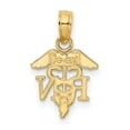 thumbnail image 4 of 10K RN Caduceus Pendant, 4 of 4