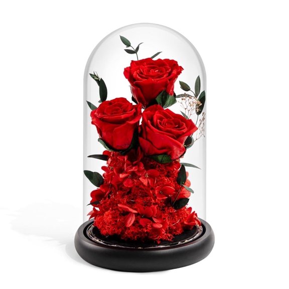 3 Preserved roses in dome ,Real Forever flowers rose , Eternal rose gift for her women girlfriend wife ,flower gift for valentines day Birthday Mother's Day lasting 1-3 years(Red)