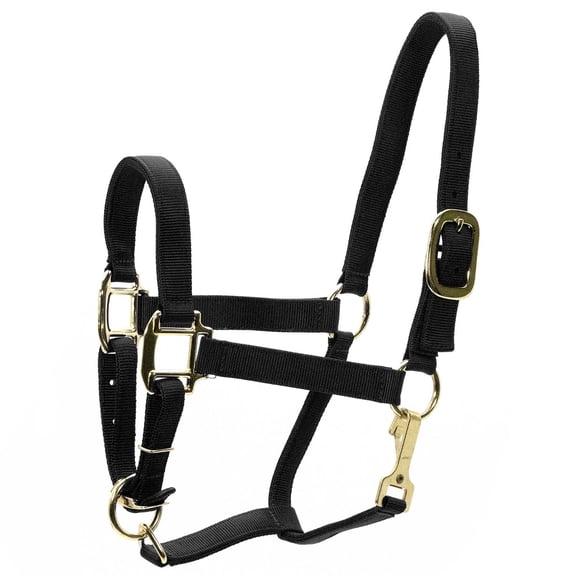 Jeffers Adjustable Nylon Horse Halter w/ Throat Snap, Black - 3 Ply Webbing, Chin Strap, Heavy Duty Throat Snap, Sturdy Hardware, Equine Halter for Training, Leading, Stable Use - Yearling 400-600lb