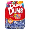 Dum Dums Color Party Lollipops, Blue, Blueberry Flavor, 12.8oz, 75 Count Bag, Allergen Free