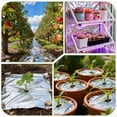 thumbnail image 6 of NOGIS 4 Pack Large High Silver Reflective Mylar Film, 83x 63 in, High Reflectivity, Keep Warm, Environmentally Safe, Perfect for Plant Growth, First Aid, Marathon, Camping, Outdoor Survival, 6 of 7