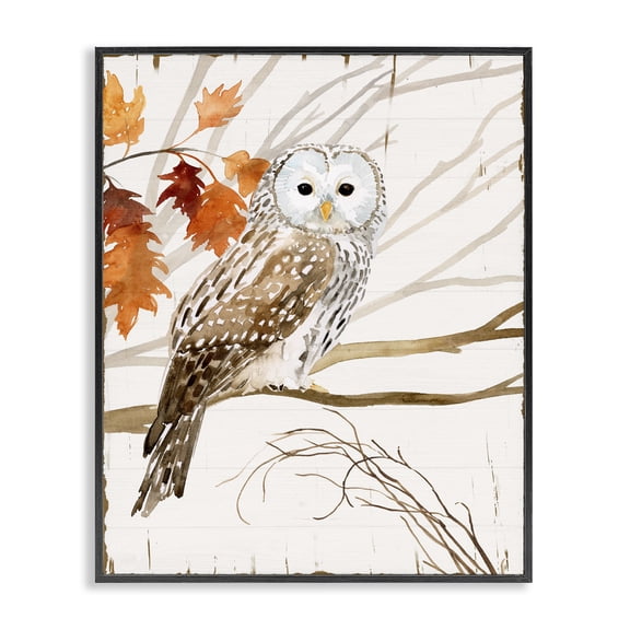 Stupell Industries Traditional Owl In Autumn Forest Animal Watercolor Black Framed Giclee Art, 11 x 14, by Victoria Borges