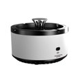 thumbnail image 2 of BotaniNest Smart Home Air Purifier For USB Rechargeable Air Cleaner Compact Multifunctional Ashtray With 4 Hour Charge, 2 of 7