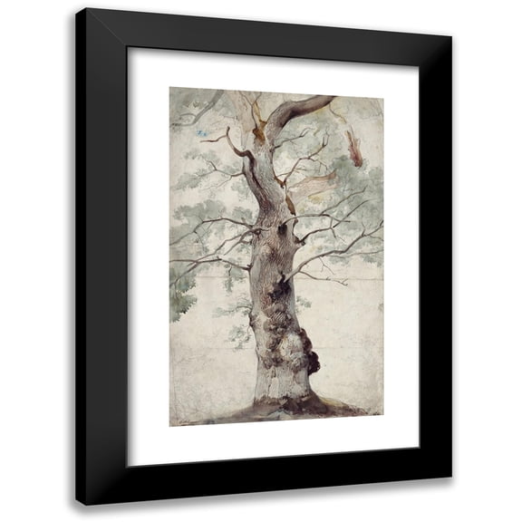 Caspar Scheuren 11x14 Black Modern Framed Museum Art Print Titled - Study of a Tree (1830s)