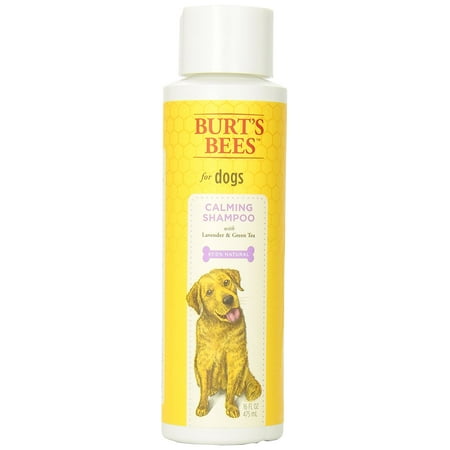 Burt’s Bees Calming Shampoo for Dogs (Best Dog Calming Products)