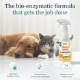 thumbnail image 2 of Advanced Bio-Enzyme Pet Stain & Odor Eliminator Spray - Smell, Stain & Urine Remover for Cats, Dogs & Other Animals - 32oz Spray Safe for the Home - Citrus Splash, 2 of 4