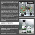 thumbnail image 3 of TNB Naturals The Enhancer CO2 Generator 2ltr, 3 of 8